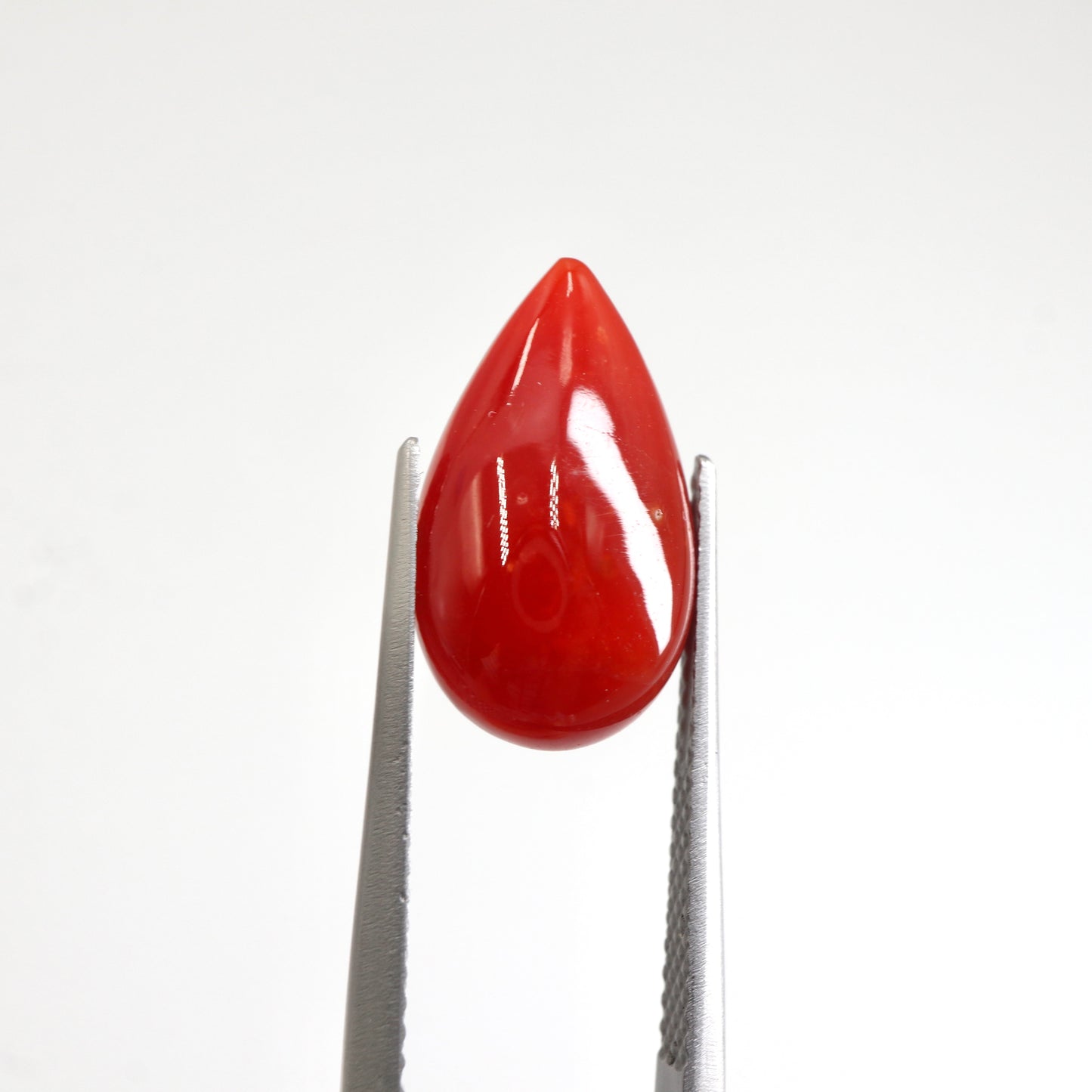 【サンゴ4.145ct】【F054】