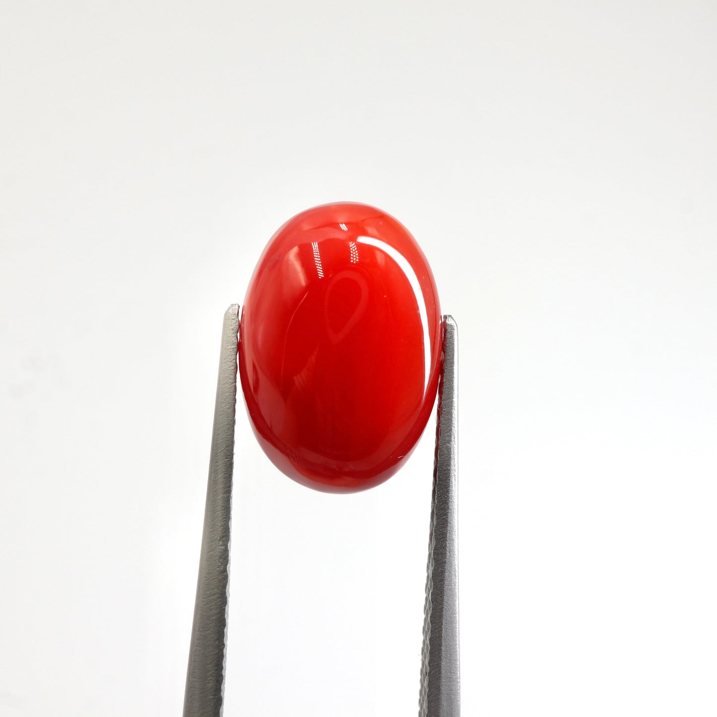 【サンゴ3.891ct】【F053】