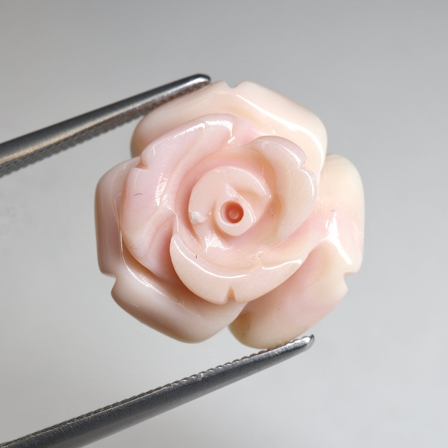 【サンゴ10.991ct】【B112】