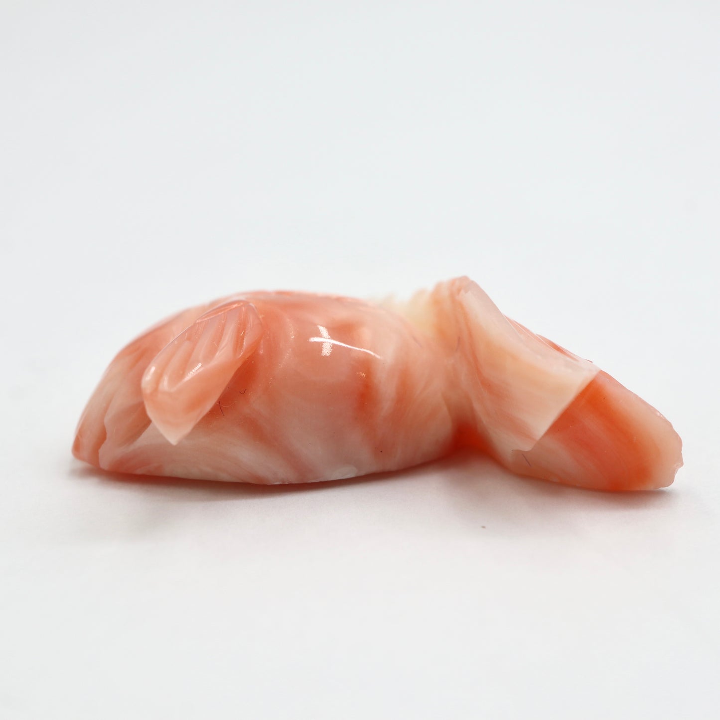 【サンゴ18.145ct】【K021】