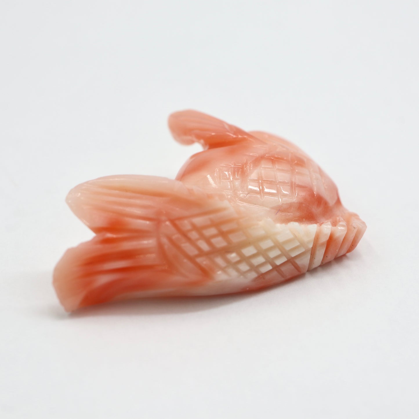 【サンゴ18.145ct】【K021】