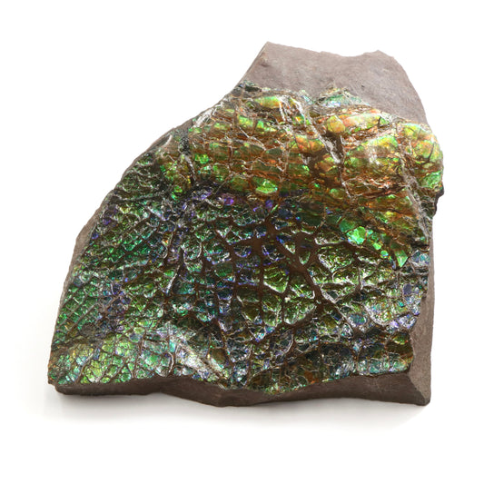 【アンモライト1746.8ct】【L090】