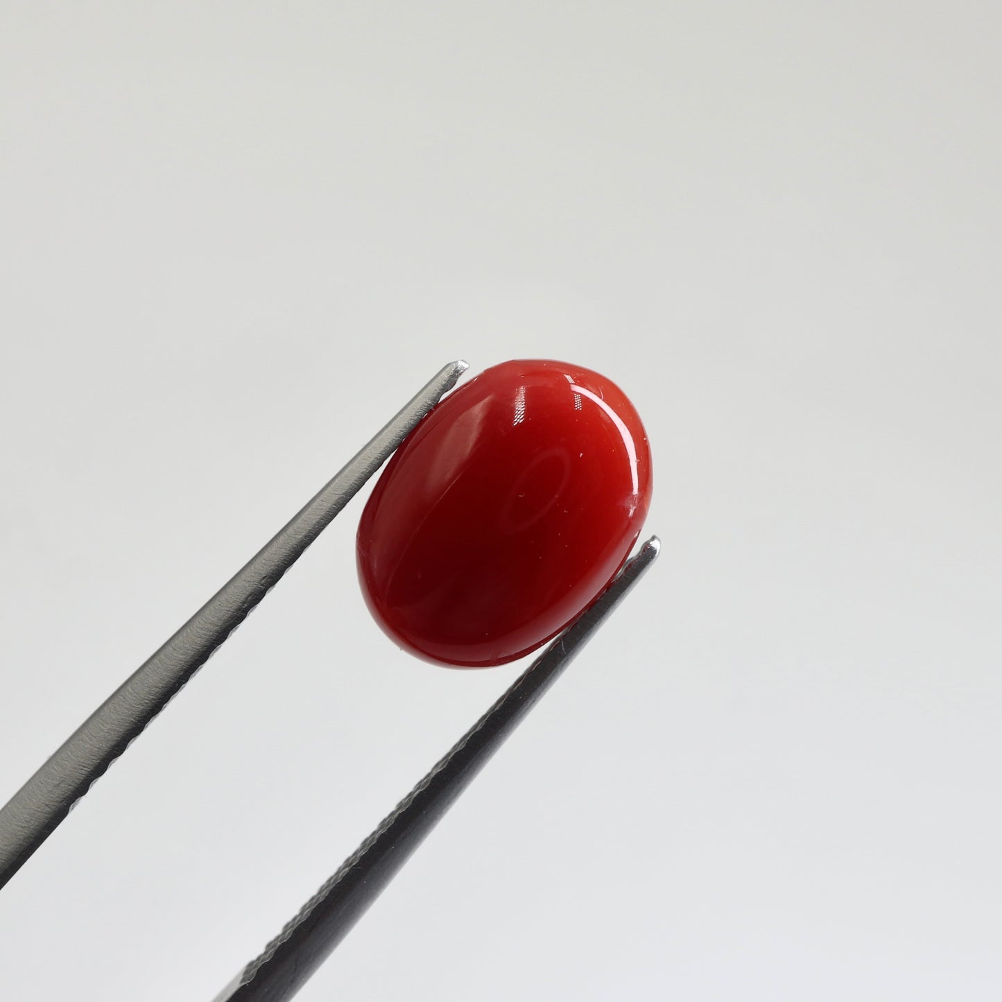 【サンゴ2.74ct】【G102】