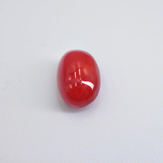 【サンゴ3.891ct】【F053】