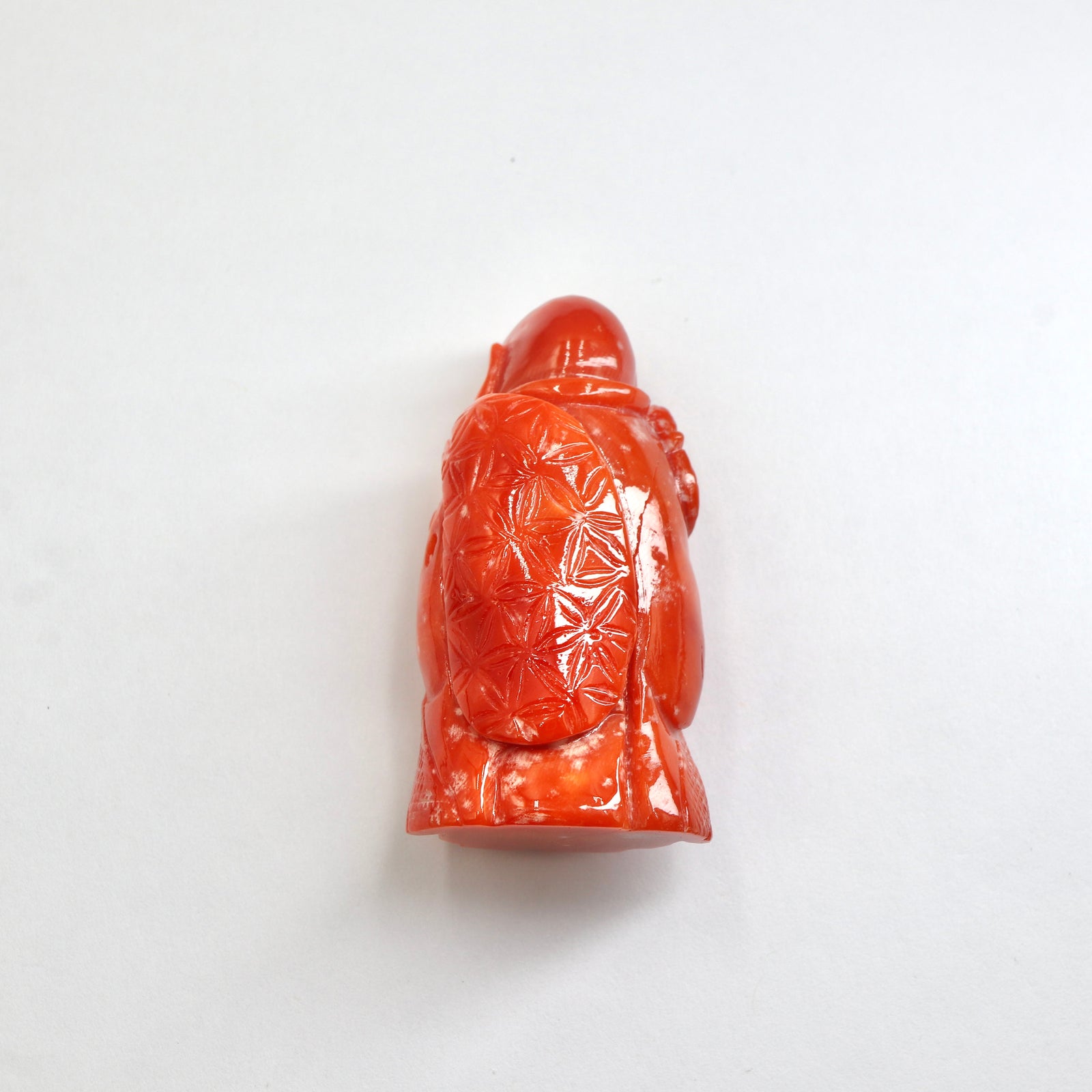 天然サンゴ