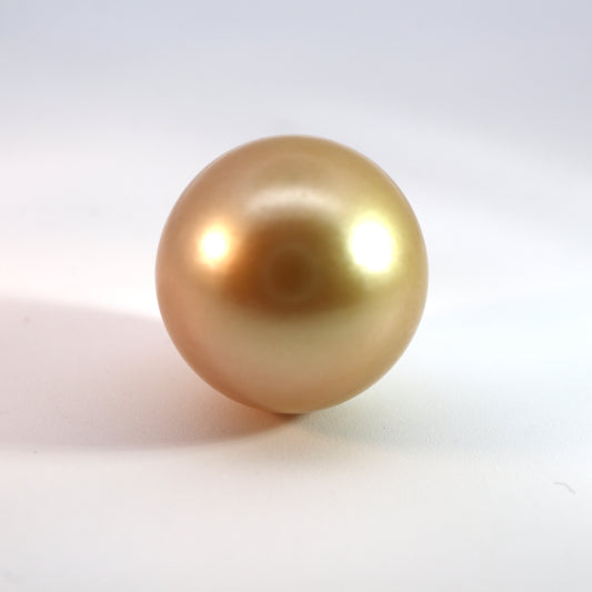 【シロチョウ真珠15.605ct】【B055】